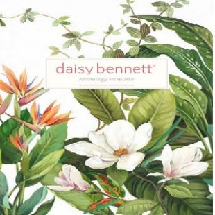 Daisy Bennett Anthology Resource